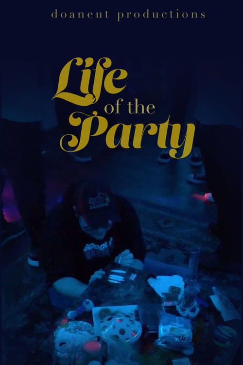 Life of the Party — poster