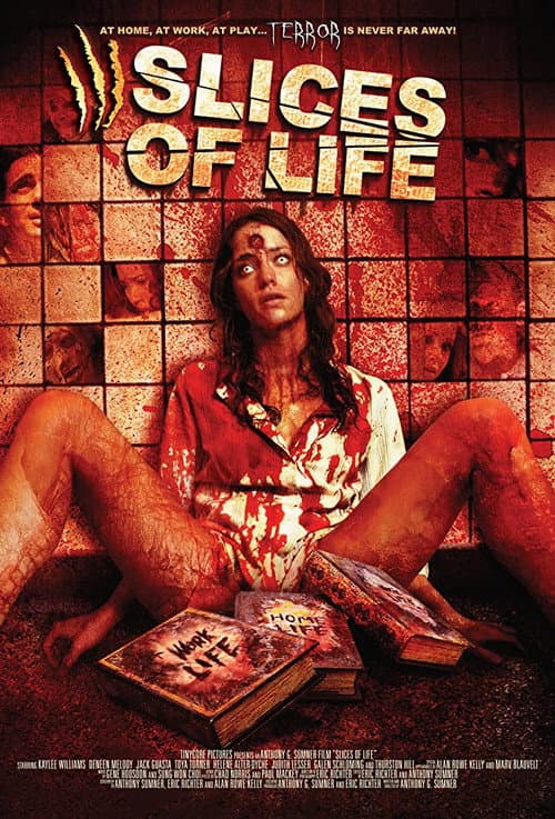 Slices of Life — poster