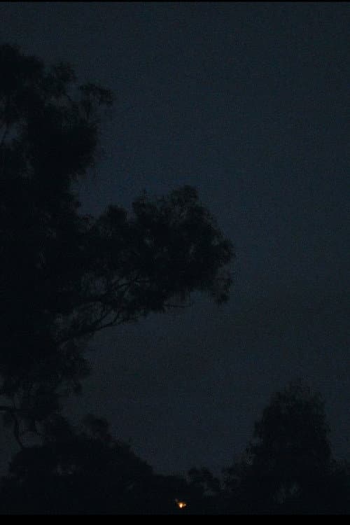 What Andy Never Knew — poster