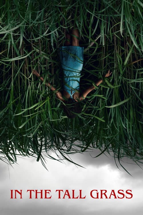 In the Tall Grass — poster