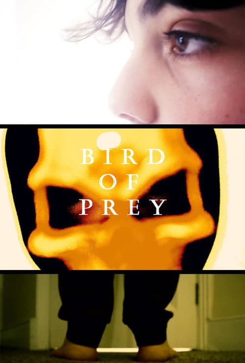 Bird Of Prey — poster