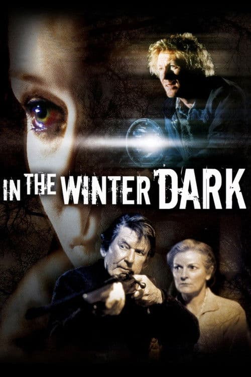In the Winter Dark — poster