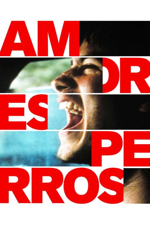 Amores Perros — poster