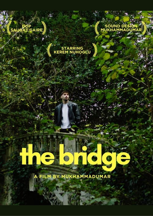 The Bridge — poster