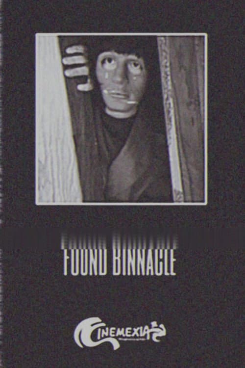 Found Binnacle — poster