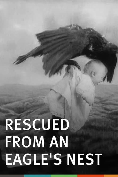 Rescued from an Eagle's Nest — poster