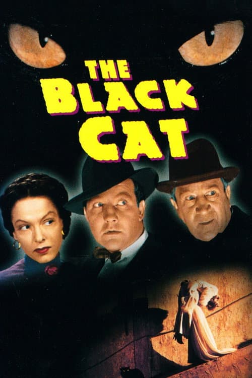 The Black Cat — poster