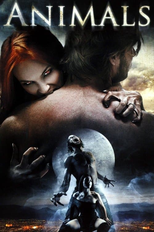 Animals — poster
