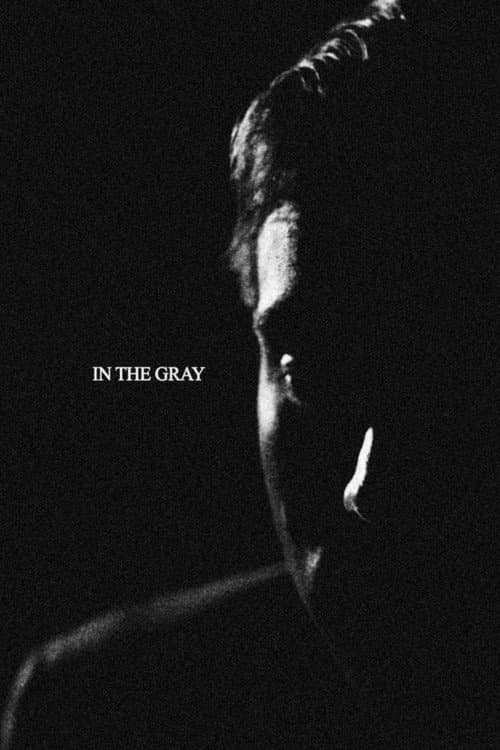 In the Gray — poster