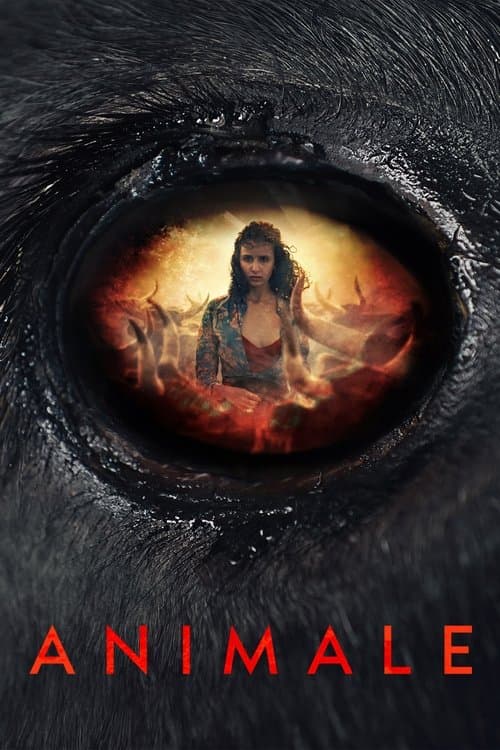 Animale — poster