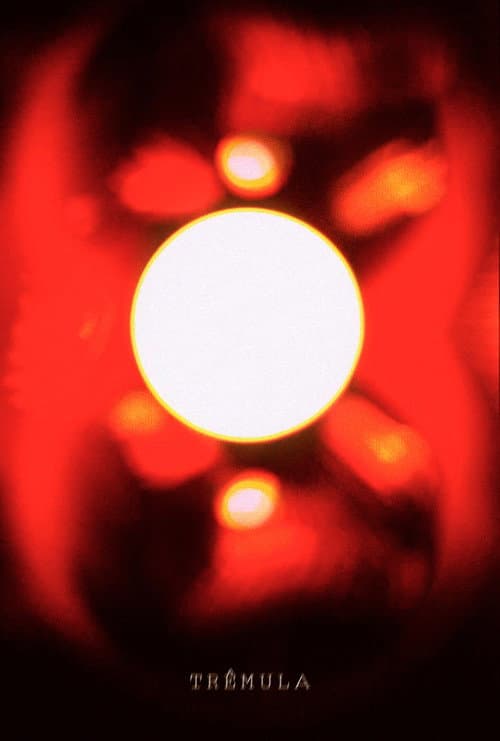 Trêmula — poster