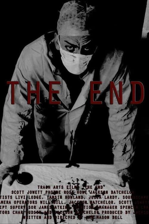 The End — poster