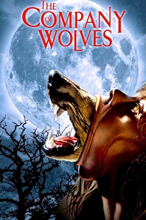 The Company of Wolves — poster