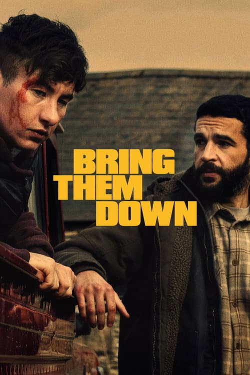 Bring Them Down — poster