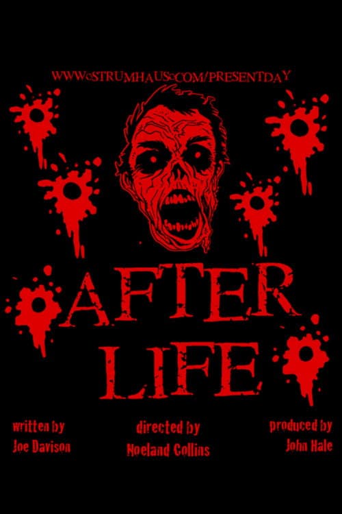 Afterlife — poster