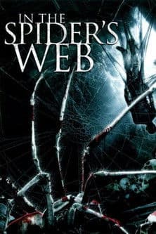 In the Spider's Web — poster