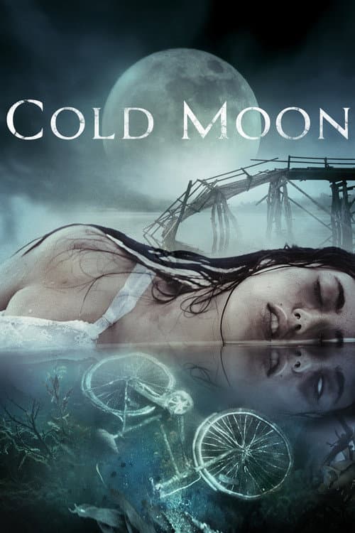 Cold Moon — poster