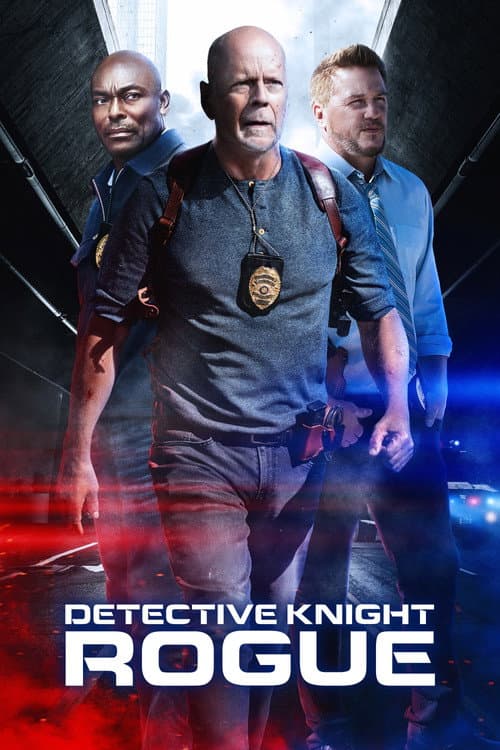 Detective Knight: Rogue — poster