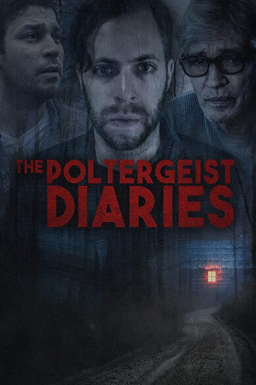 The Poltergeist Diaries — poster