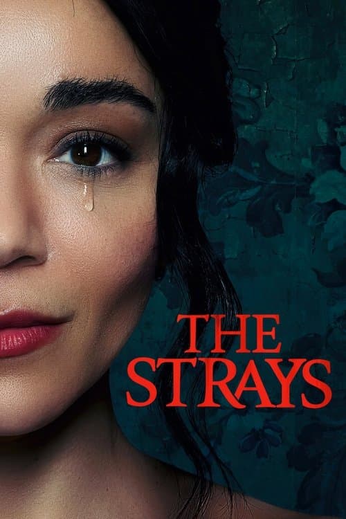 The Strays — poster