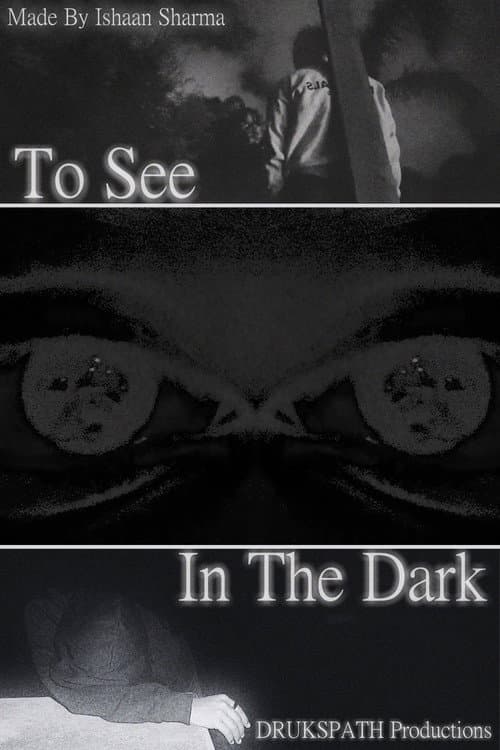 To See In The Dark — poster