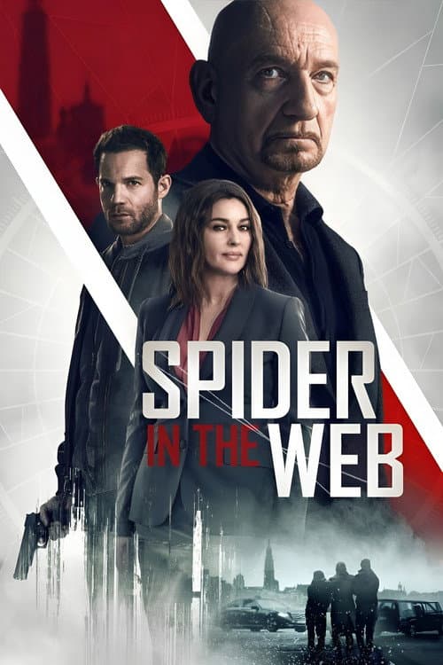 Spider in the Web — poster