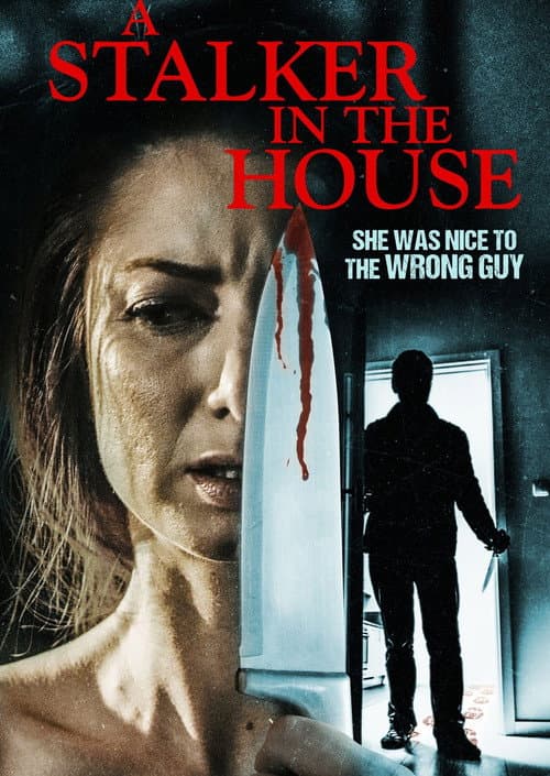 A Stalker in the House — poster