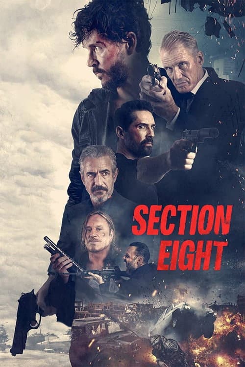 Section 8 — poster