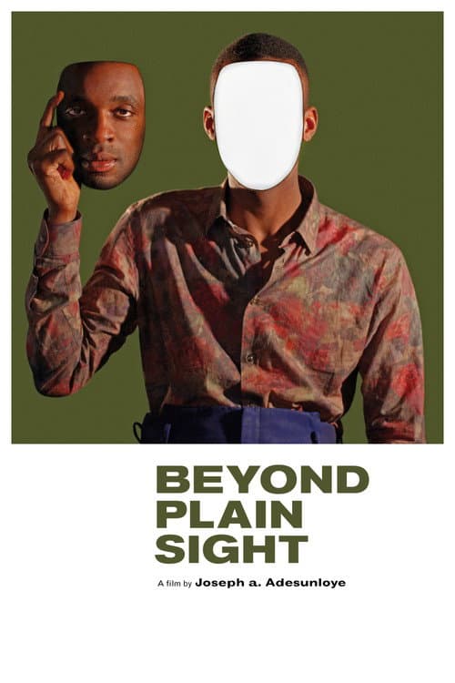Beyond Plain Sight — poster