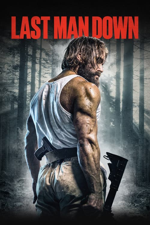 Last Man Down — poster