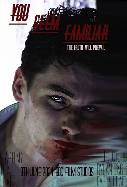 You Seem Familiar — poster