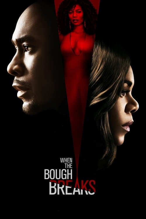 When the Bough Breaks — poster