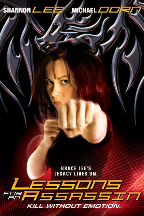 Lessons for an Assassin — poster
