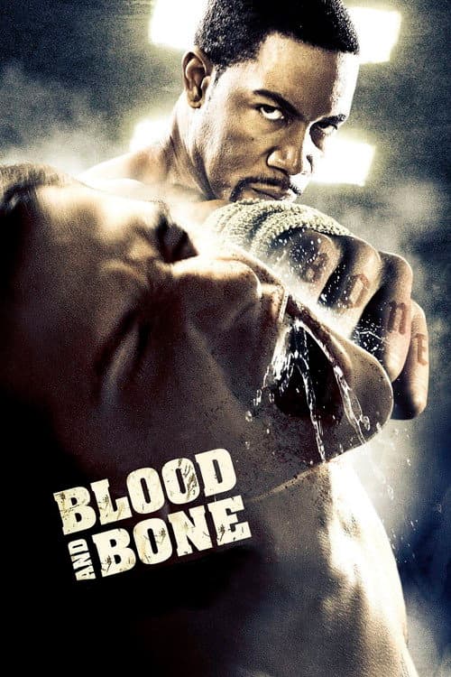 Blood and Bone — poster