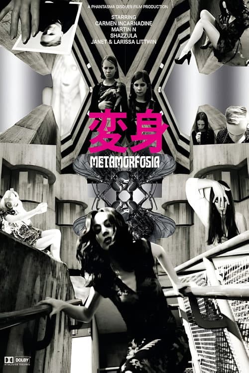 Metamorfosia — poster