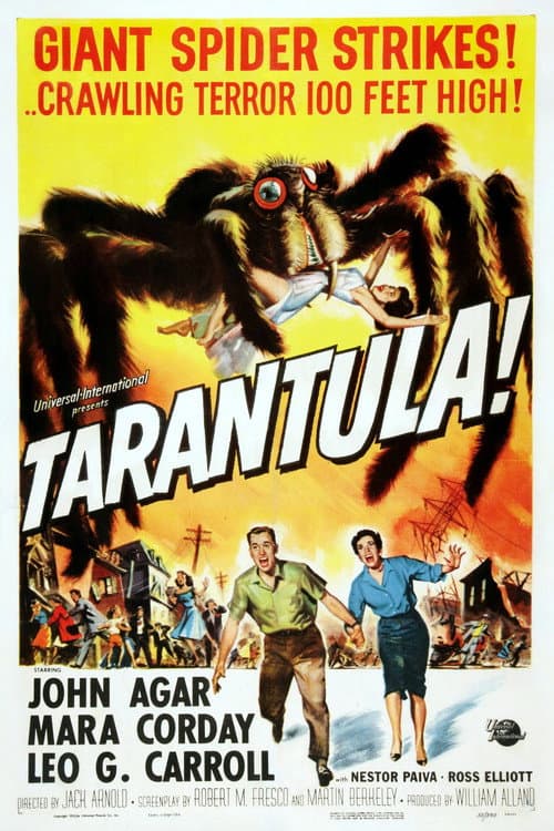 Tarantula — poster