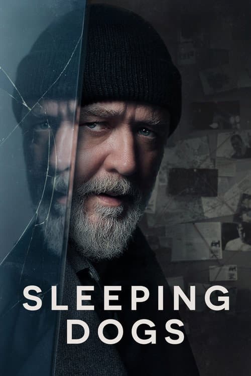 Sleeping Dogs — poster