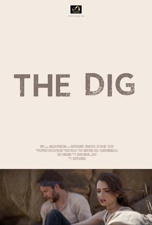 The Dig — poster