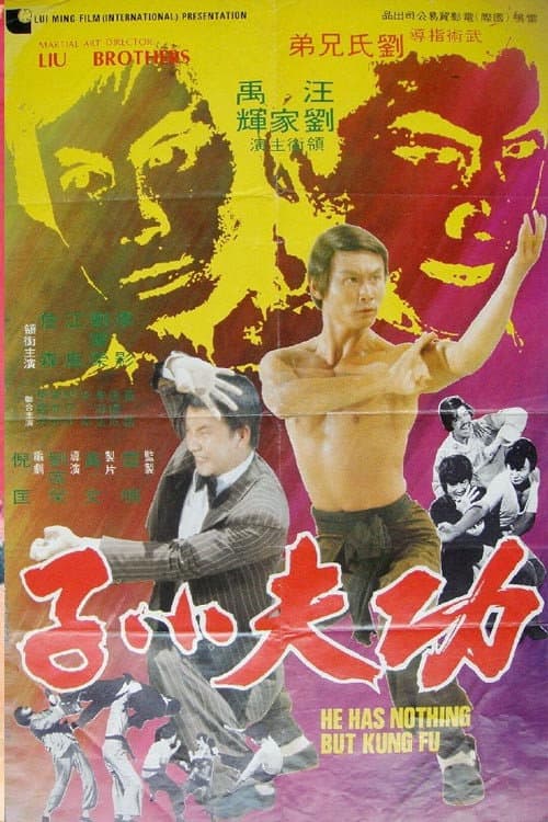 He Has Nothing But Kung Fu — poster