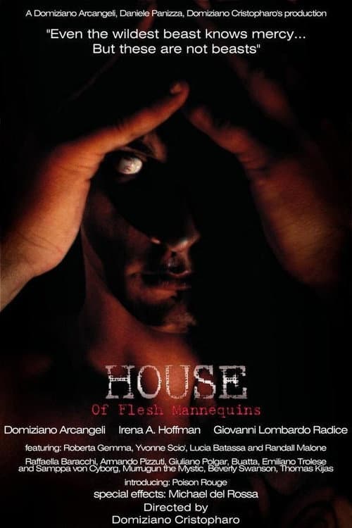 House of Flesh Mannequins — poster