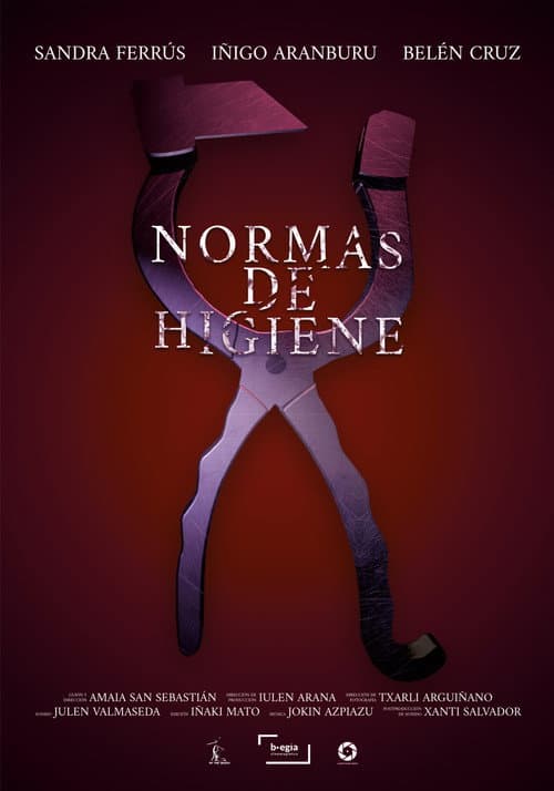 Hygiene Standards — poster