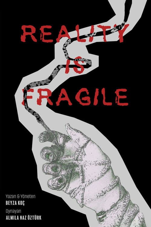Reality Is Fragile — poster