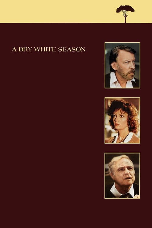 A Dry White Season — poster