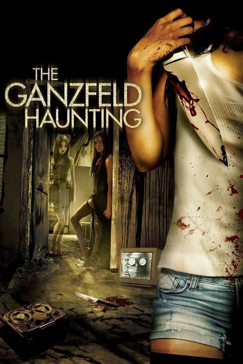 The Ganzfeld Haunting — poster