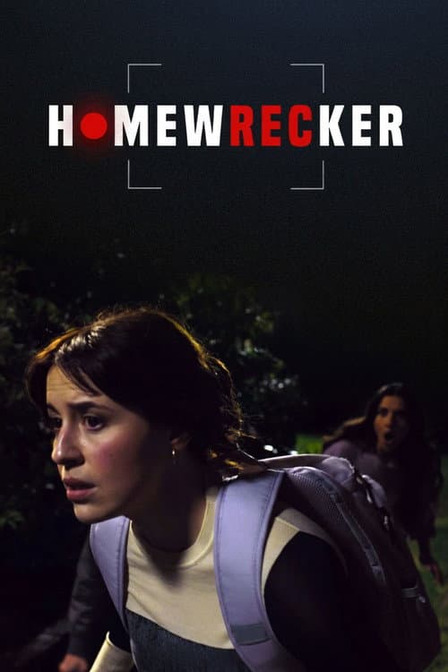 Homewrecker — poster