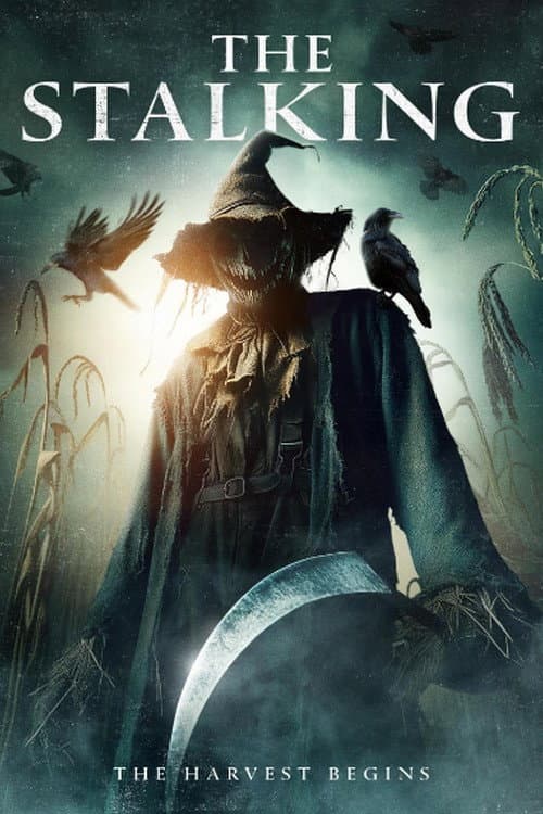 The Stalking — poster