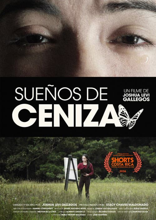 Sueños de Ceniza — poster