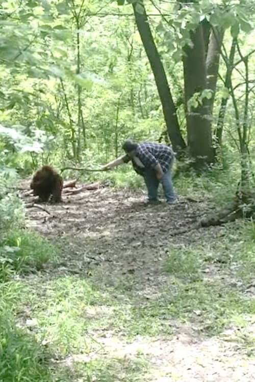 Bigfoot — poster