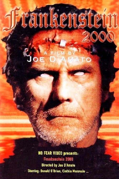 Return from Death: Frankenstein 2000 — poster