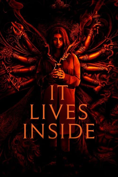 It Lives Inside — poster